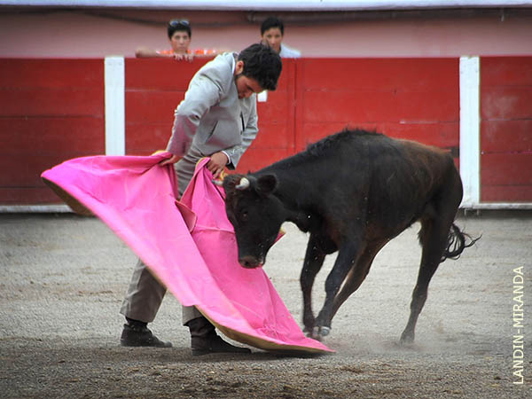 Roberto Fern�ndez, amorantado