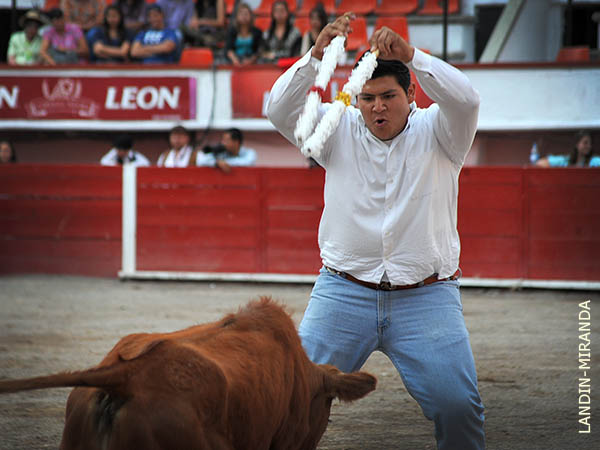 Cuadrando en la cara