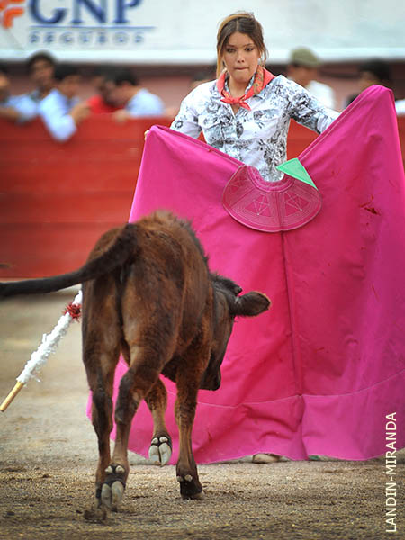 El toreo en rosa