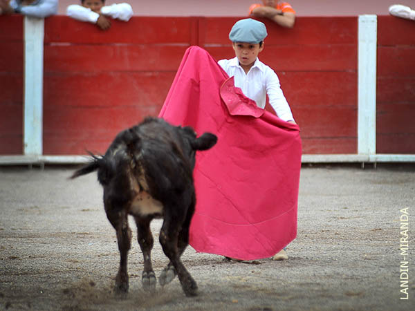 Embestida con tranco