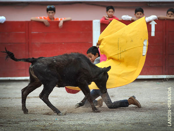 Valor ojuelense