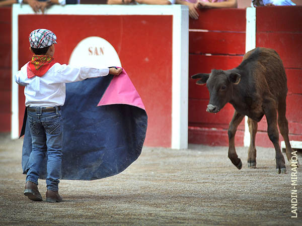 Cite a media distancia