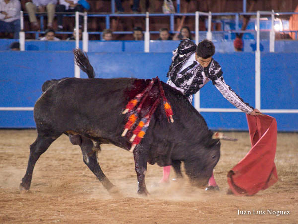 Nuevo matador de toros
