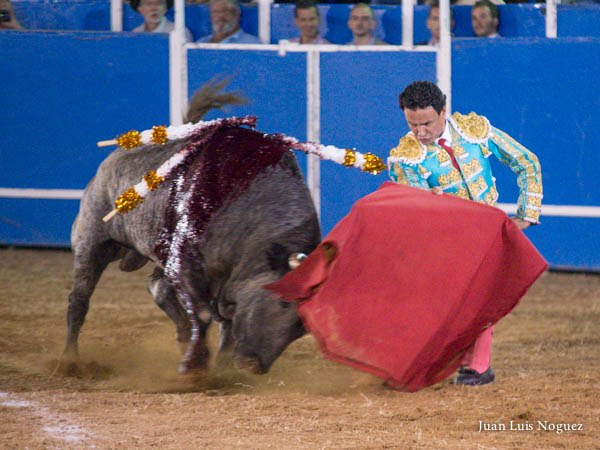 Ahormando la embestida