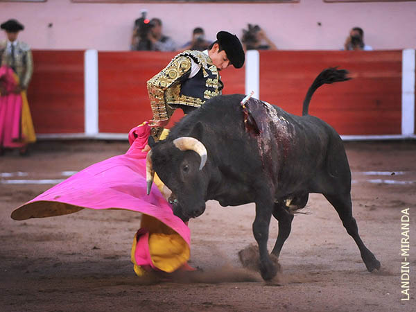 En los vuelos del capote