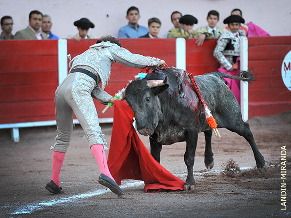 Hasta la empu�adura