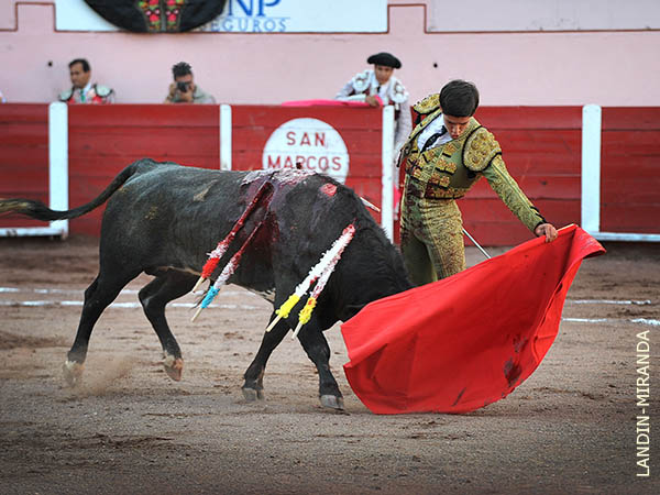 Naturalidad lagunera