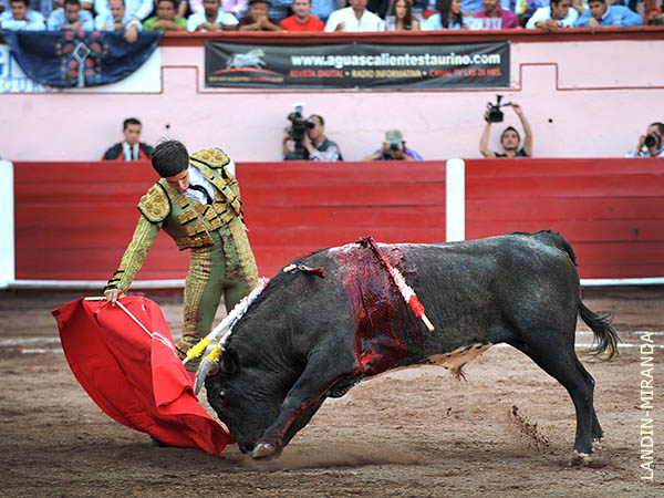 Noble y con recorrido