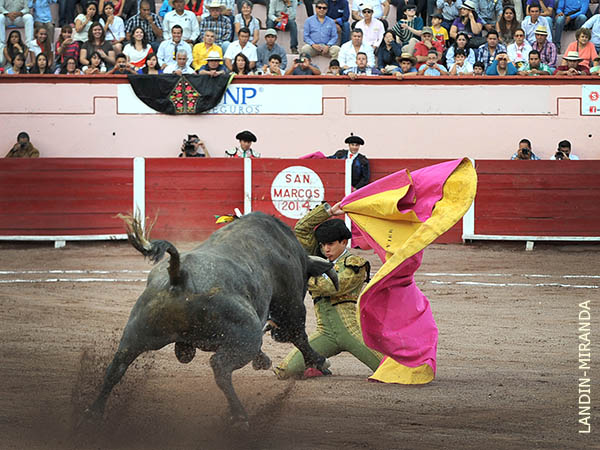 Mar�n, de hinojos en los medios