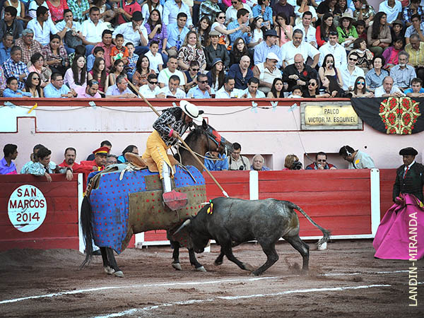 Metiendo la cara abajo