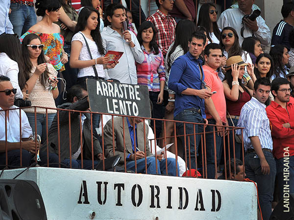 Un buen novillo de La Playa