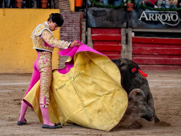 Bien toreado a la ver�nica