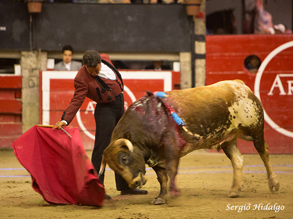 Sensacional derechazo