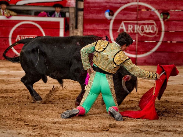 Bien tore� de rodillas