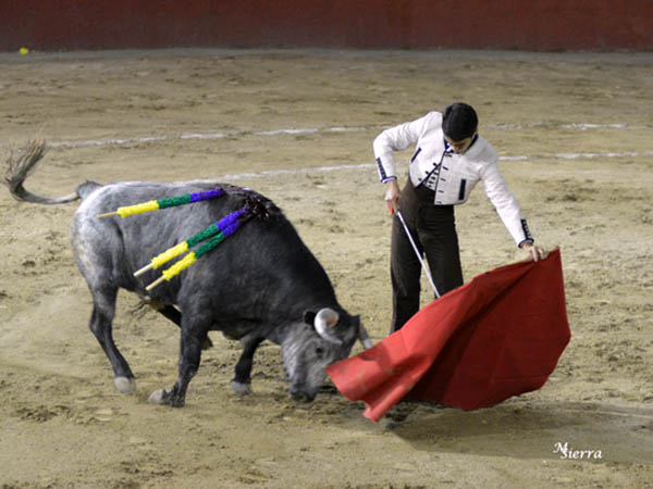 Se gente agradeci la actitud