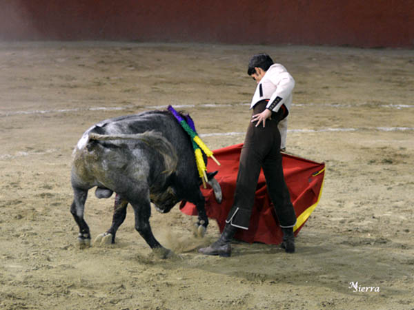 Plant cara al complicado ejemplar