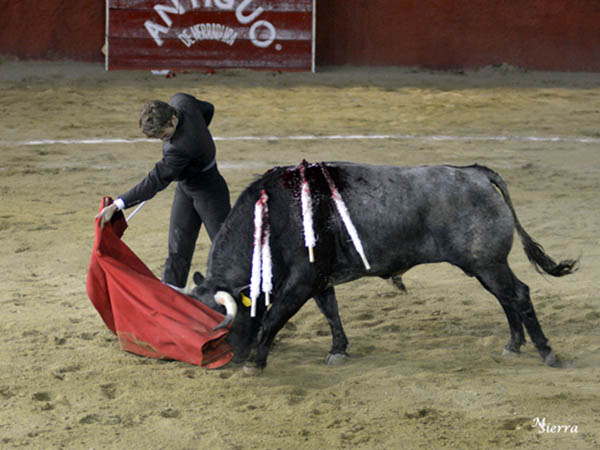 Con seguridad y mando