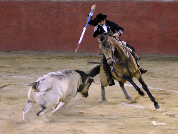 Mucho luci sobre el bayo