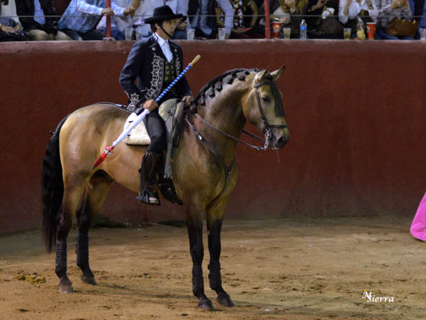 La vista en el toril