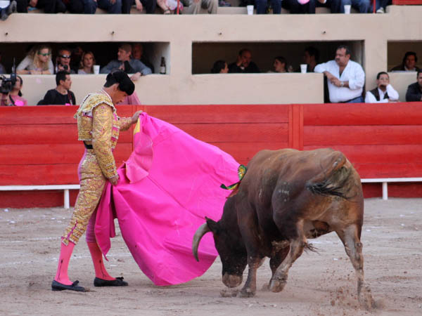 Ver�nicas al casta�o