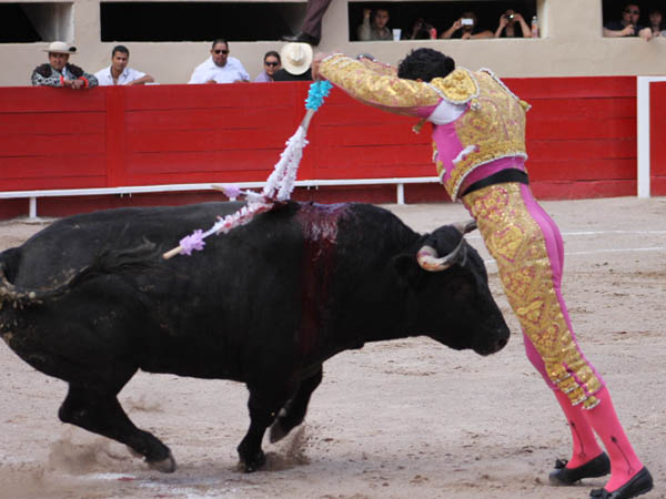 Jaleado en rehiletes