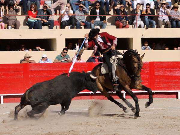 Se le ve toda su maestr�a