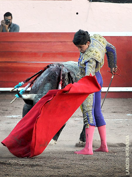 Novillo con transmisi�n