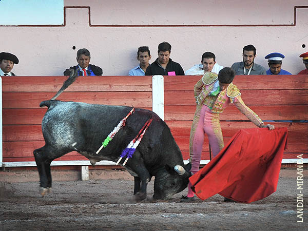 Conect� gratamente