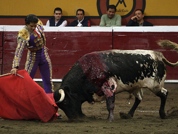 Calidad en la embestida