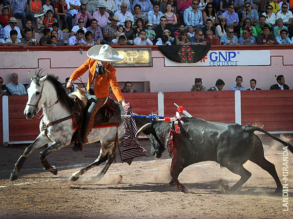 Rejoneador mexicanista