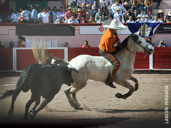 Sorprendi� toreando a pelo