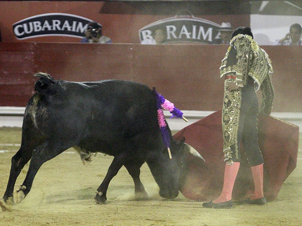 Asentamiento y gusto