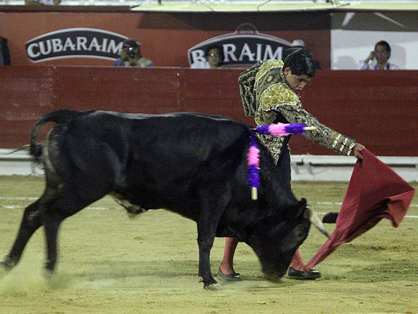 Calidad en la embestida