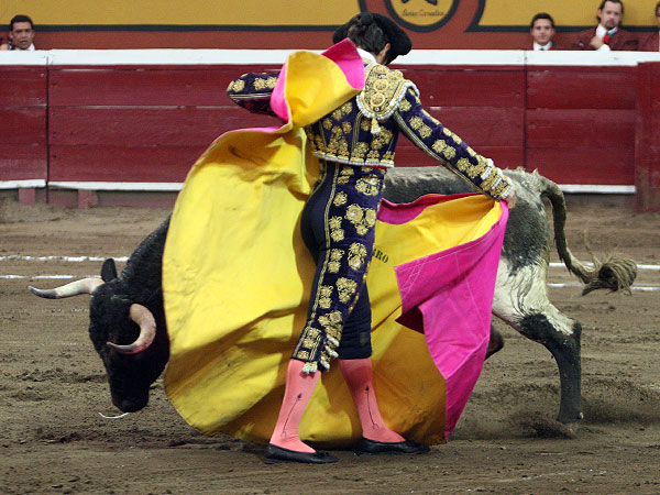 LLevandolo al caballo