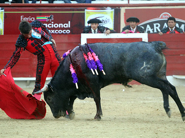 Sintiendo la embestida