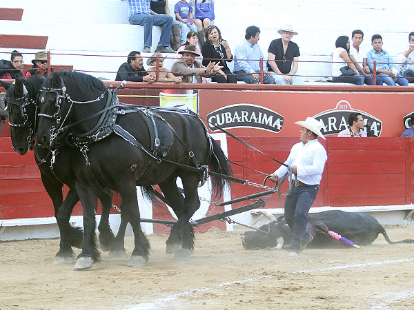 Arrastre lento y ovaci�n