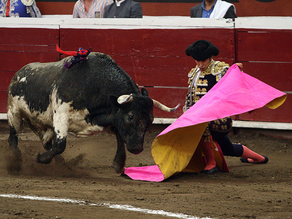 La elegancia de Pizarro