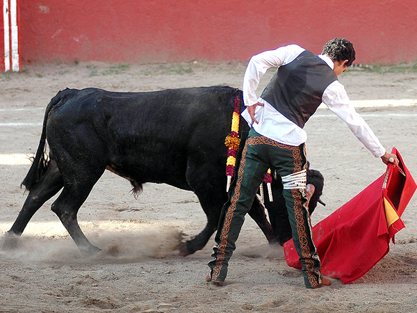 Sin el �nimo mellado