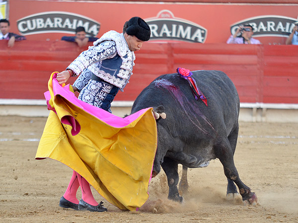 El quite por gaoneras