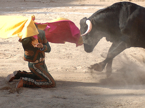 Verd�n, a por todas