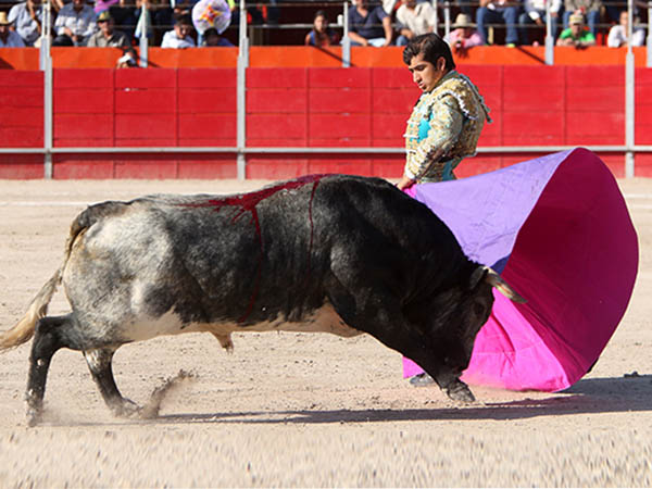 El quite por zapopinas