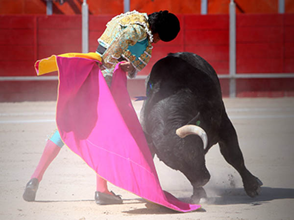 Abrochando el saludo