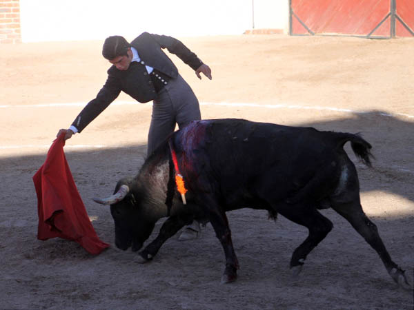 Llev�ndolo toreado