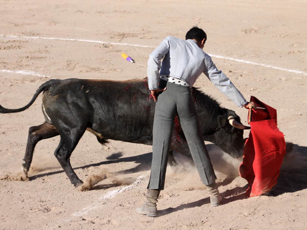 Abriendo el comp�s