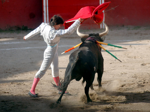 Corona, barriendo los lomos