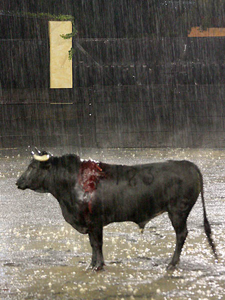 Hierro de San Mart�n