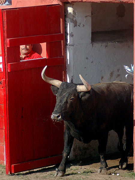 �El toro de Landes�