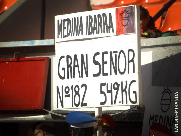 Corrida homenaje en AGS 2009-04-24