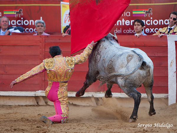 Dominando al de Xajay