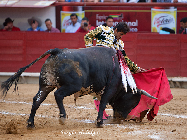 Siempre buscando el triunfo